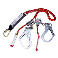3M protecta adjustable twin rope fall arrest lanyard - 2 m